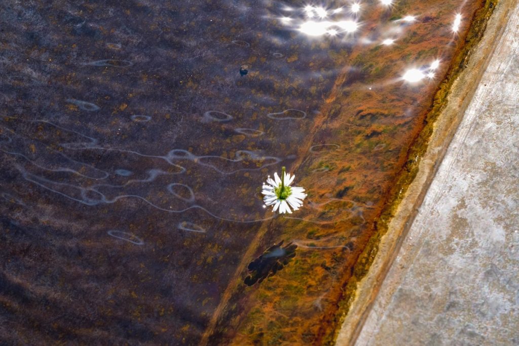 Home02 1024x683